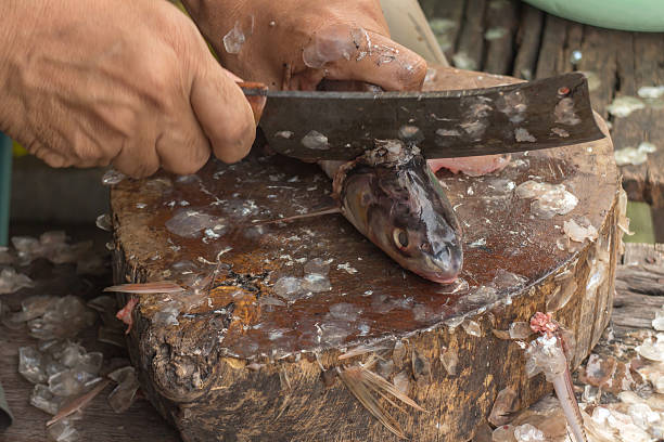istock close-up of a worker cutting fish on a board 519247881