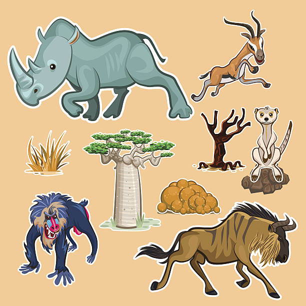 Africa Animals & Trees Collection Set 02 Collection Sets of African Animals and Tree including rhinoceros mandrill baboon gazelle meerkat wildebeest baobab and African trees wildebeest running stock illustrations