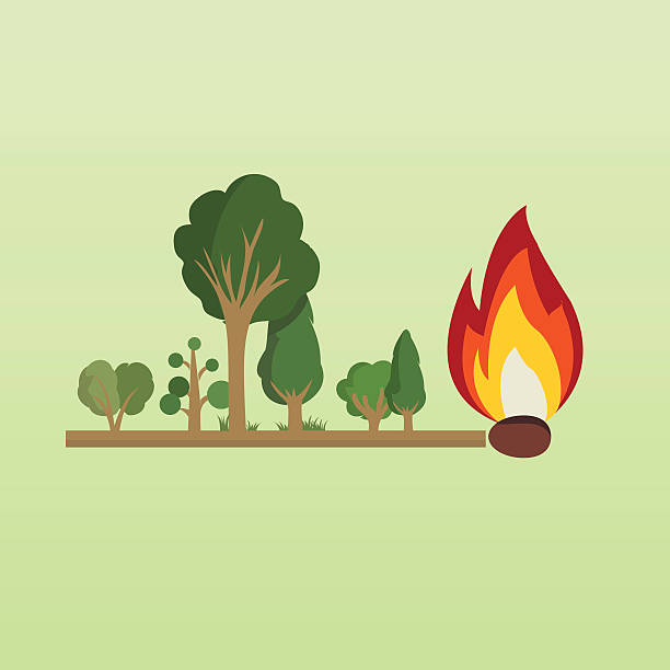 illustrations, cliparts, dessins animés et icônes de risque d'incendie dans la forêt. - deforestation