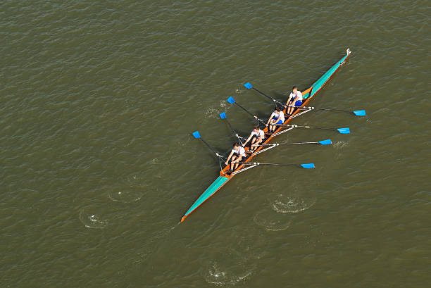 czterech mężczyzn wioślarstwo na danube river - oar rowing sport rowing team zdjęcia i obrazy z banku zdjęć