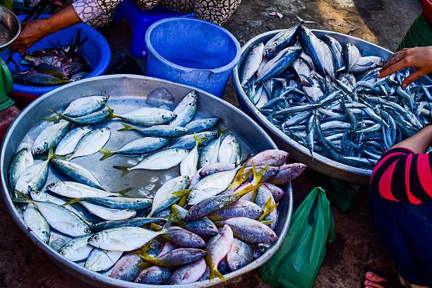 istock seafood in Nam Du island 519262984