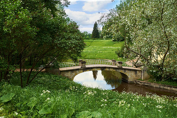 istock St. Petersburg Pavlovsk Bridge 519264170