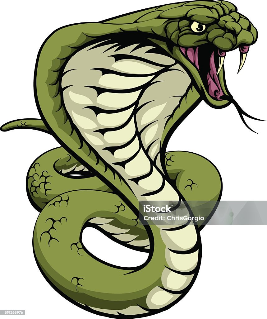 King Cobra Snake Stock Illustration - Download Image Now - Cobra, Snake,  King Cobra - iStock