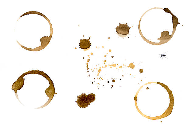 istock Coffee stain cup rings  on a white background 519269024