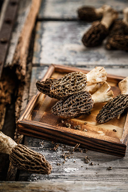 Morel Mushrooms on the table Morel Mushrooms on the table chanterelle edible mushroom gourmet uncultivated stock pictures, royalty-free photos & images