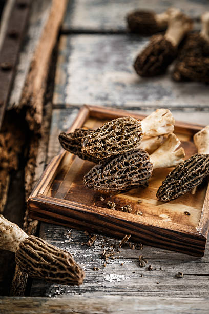 cogumelos morel na mesa - chanterelle edible mushroom gourmet uncultivated - fotografias e filmes do acervo