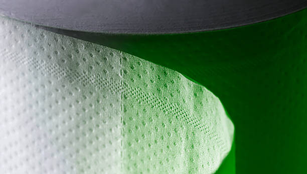 istock White toilet paper in closeup 519270326