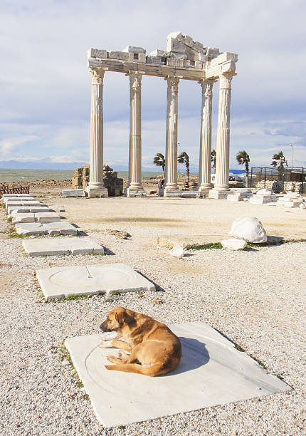 istock Side Apollo Temple in Turkey 519271968