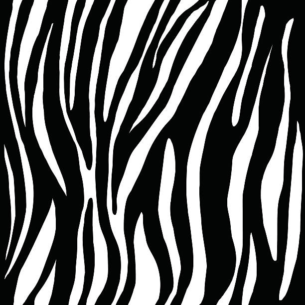 1,000+ Zebra Texture Background Pictures Illustrations, Royalty-Free ...