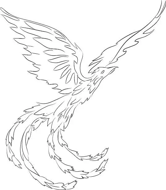 Vector illustration of Phoenix