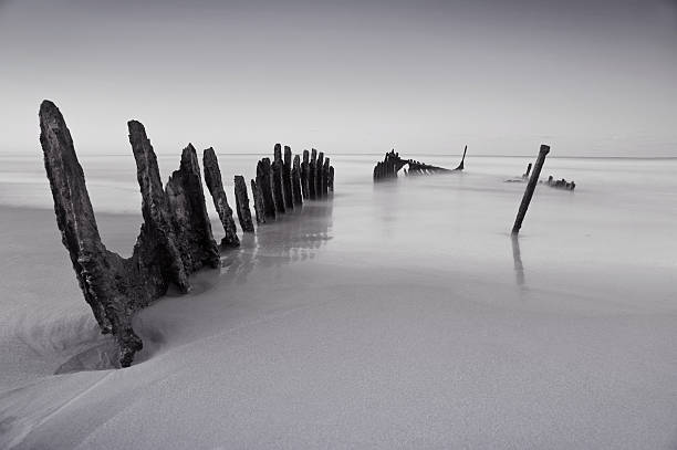 istock Wreck of the SS Dicky 519275564
