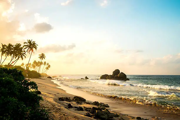 Ocean beach at the morning, Sri Lanka