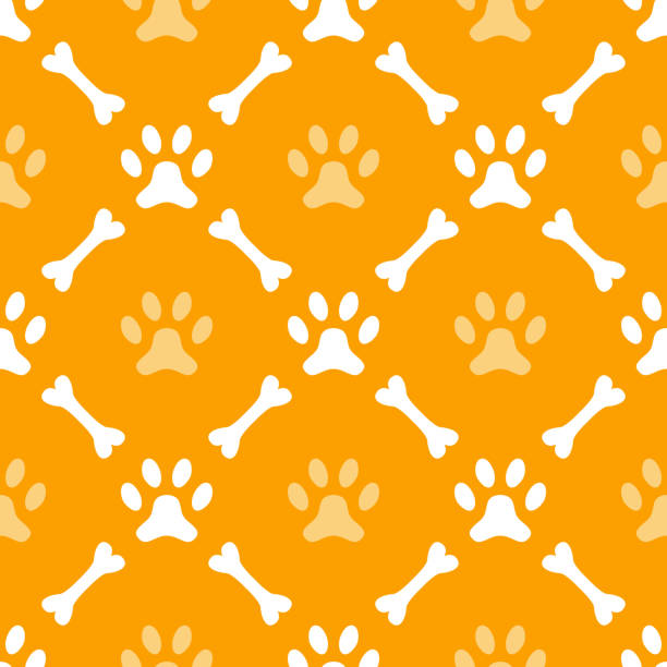 illustrazioni stock, clip art, cartoni animati e icone di tendenza di animale seamless pattern di vettoriale impronta di zampa e osso - dog spotted purebred dog kennel