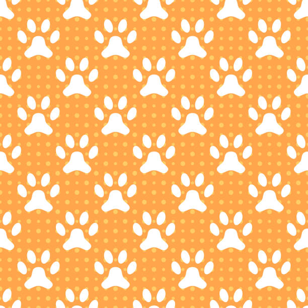 illustrazioni stock, clip art, cartoni animati e icone di tendenza di animale seamless pattern di vettoriale impronta di zampa e a pois - dog spotted purebred dog kennel