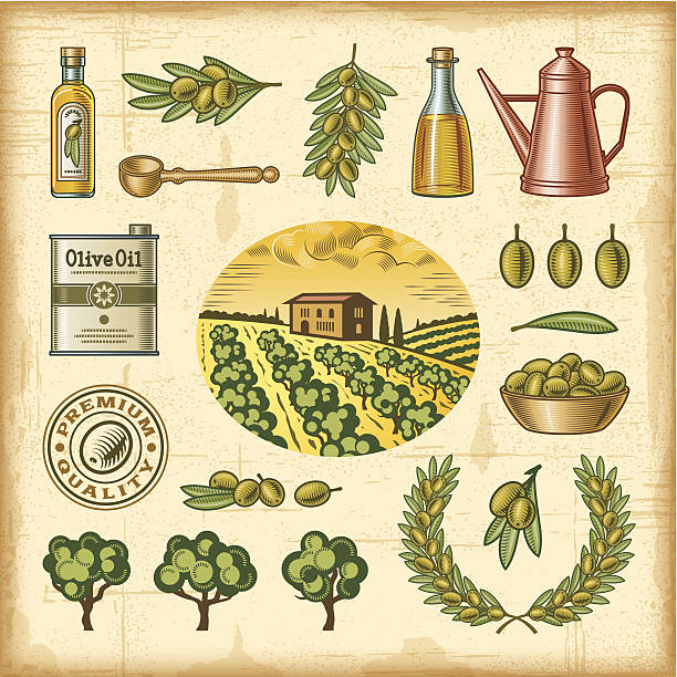 винтажный оливковый уборки набор красочных - cruet stock illustrations