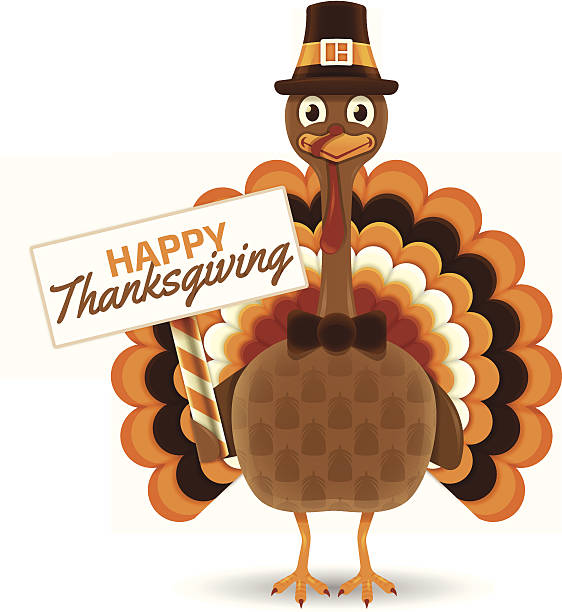 ilustrações, clipart, desenhos animados e ícones de turkey dia de ação de graças - turkey white background bird thanksgiving