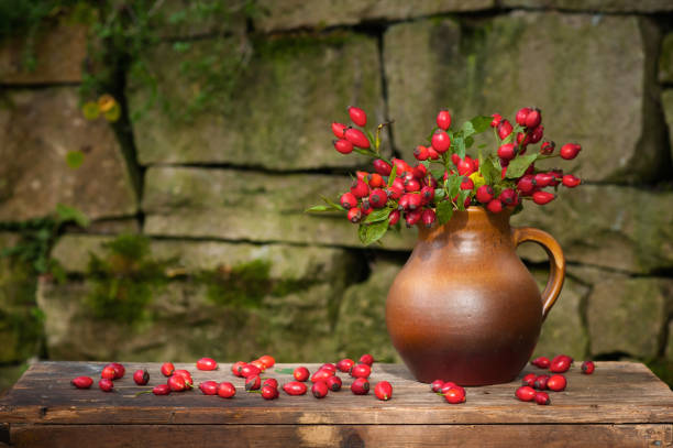 Bouquet of autumn (Rosa canina)
