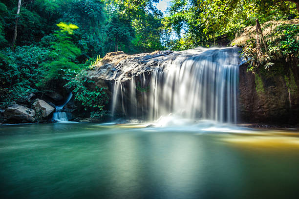 mae (major clinical event, sa cascata em doi suthep pui parque nacional - suthep imagens e fotografias de stock