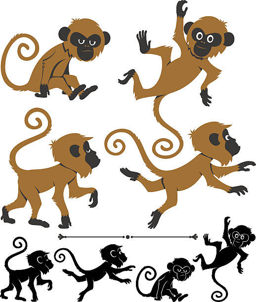 ilustraciones, imágenes clip art, dibujos animados e iconos de stock de monos - animals in the wild white background animal black and white