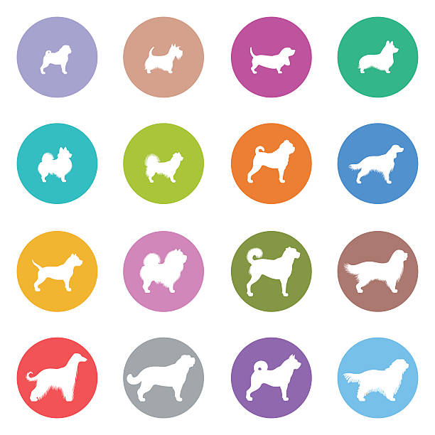 hunde-icon-set - terra nova bay stock-grafiken, -clipart, -cartoons und -symbole