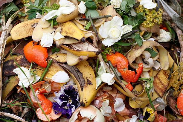 爽やかなバイオ廃棄物や堆肥 - rotting banana vegetable fruit ストックフォトと画像