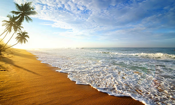 мягкие волны океана - dramatic sky horizon over water sunlight sunset стоковые фото и изображения