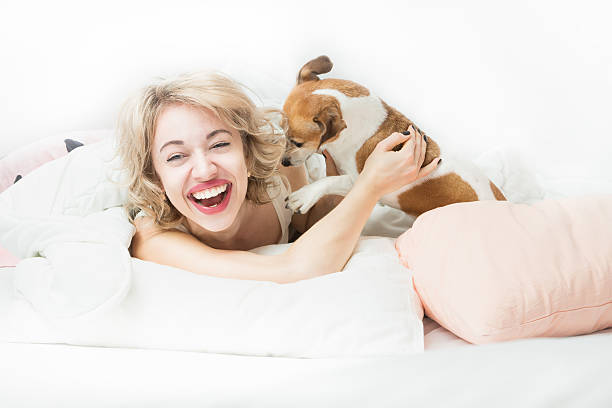 istock Playing with your pet in the bed 519320908