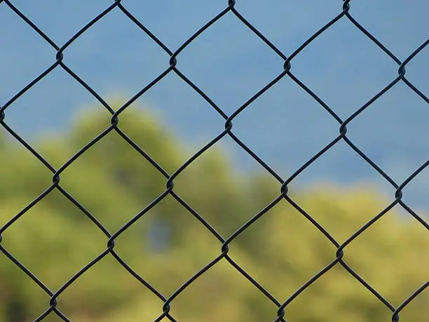 Close up of a wire-mesh fence, with a natural scene on the background.