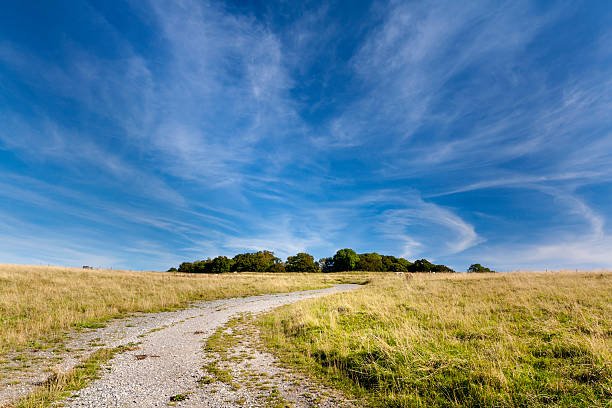 Wispy clouds over a Gravel track leading to Badbury Rings Iron age fort
