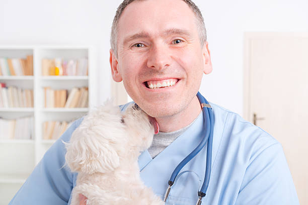 istock Happy vet holding a little dog 519330338