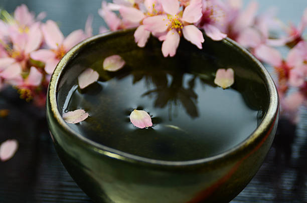 istock Japanese rice wine with cherry blossom 519331462