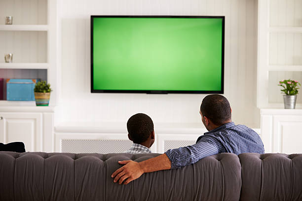 istock Father and son watching TV at home together, back view 519331532