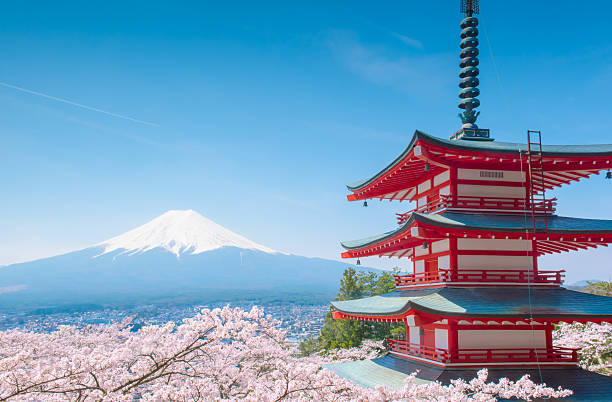 Chureito pagoda Fujiyoshida, Japan - April 16, 2015: Chureito Pagoda presents a great view of Mount Fuji with red pagoda in cherry blossom season  pagoda photos stock pictures, royalty-free photos & images