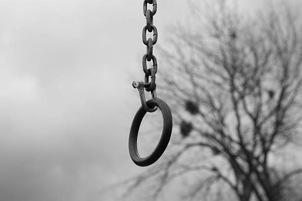 istock Outdoor playground ladder 519334176