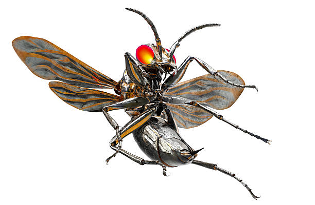 istock metal robot insect isolated on white with clipping path 519334824