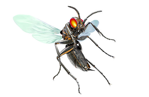 istock metal robot insect isolated on white with clipping path 519334852