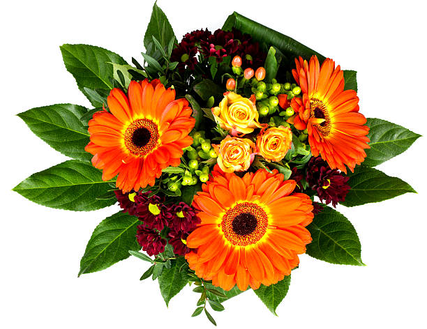 istock bouquet of flowers  on a white background 519337640