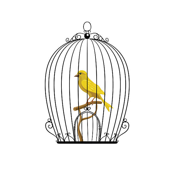 gelb vogel in einem schwarzen käfig - vogelkäfig stock-grafiken, -clipart, -cartoons und -symbole