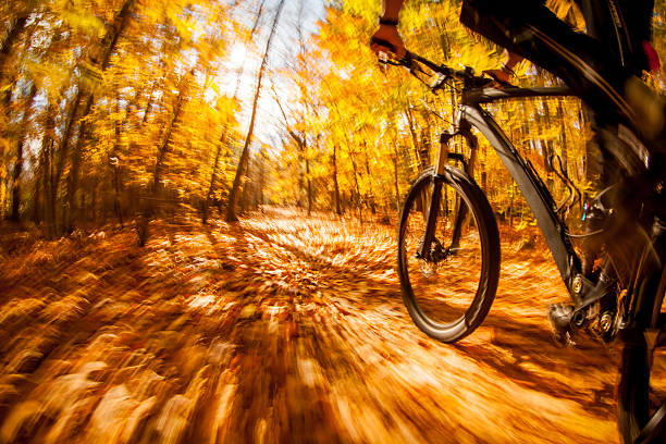 istock Mountain biking during on a fall day in Massachusetts 519340312