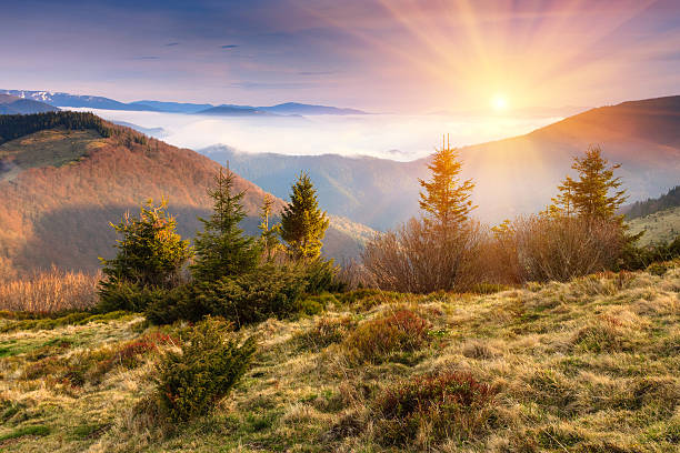 istock Landscape sunrise in the mountains. 519341574