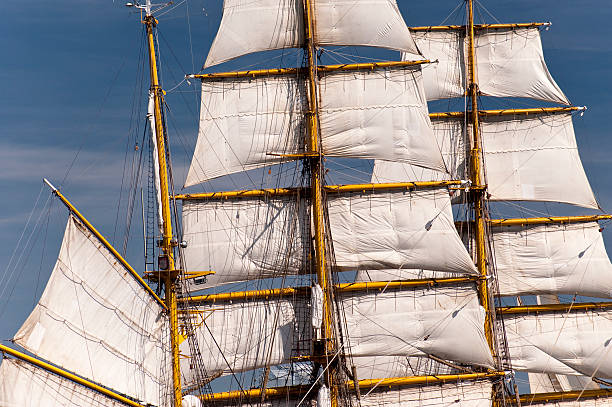 istock Fishing boats on madeira 519356638