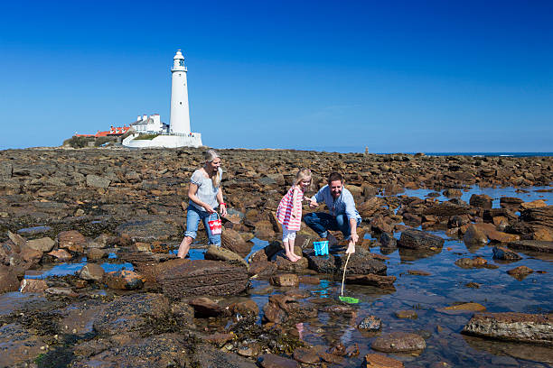istock Family Rock Pooling 519359705