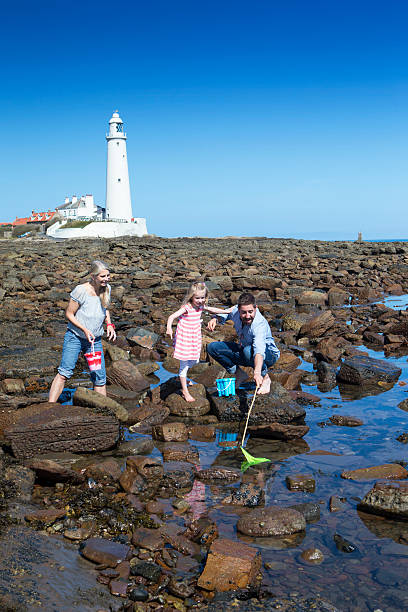 istock Family Rock Pooling 519359707