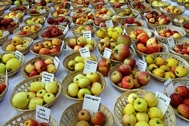яблоки в корзине альтернативными вариантами. - nectarine peach red market стоковые фото и изображения
