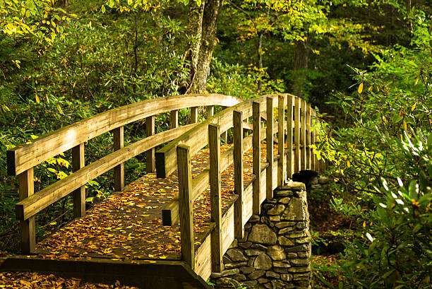 istock Crossing In To Nature 519360969