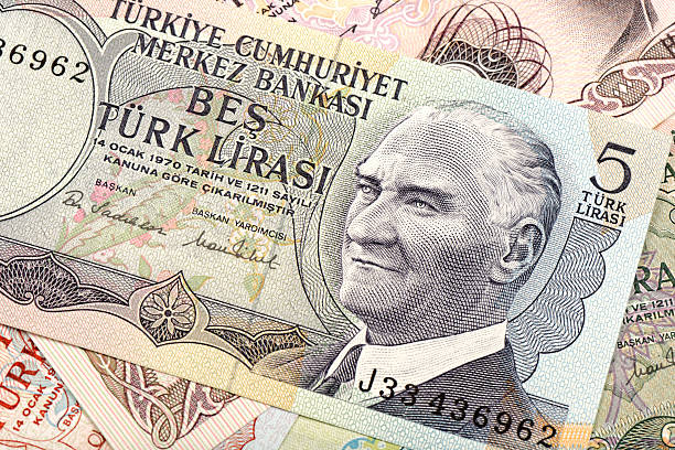 istock Old Turkish Lira, macro detail 519361617