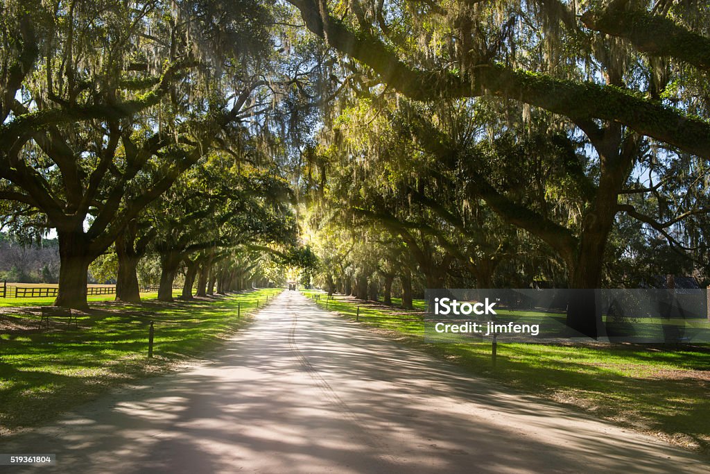 Plantación Boone Hall - Foto de stock de Carolina del Sur libre de derechos