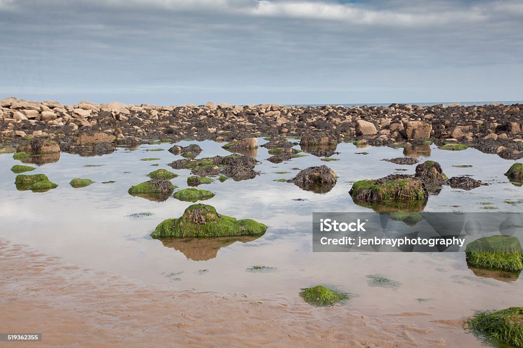 Mossy rocks and and reflections at Cayton Bay Mossy rocks and and reflections at Cayton Bay, Scarborough, North Yorkshire, natural coastal environment Beach Stock Photo