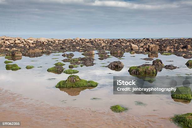 Mossy Rocks And And Reflections At Cayton Bay Stock Photo - Download Image Now - Beach, Blue, Cloud - Sky