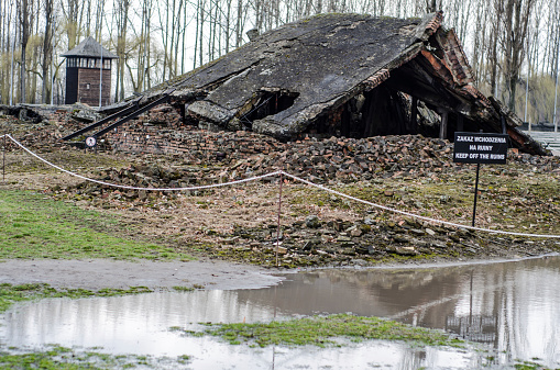 Oswiecim, Poland - March 17, 2014: Ruins of a gas chamber at Auschwitz II / Birkenau in Poland. The gas chambers were destroyed by the fleeing Nazis in the Autumn of 1944 as the Allied liberated Poland.